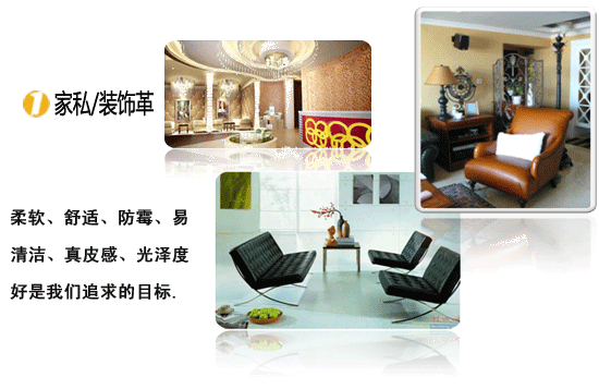 Furniture / decorative leather
