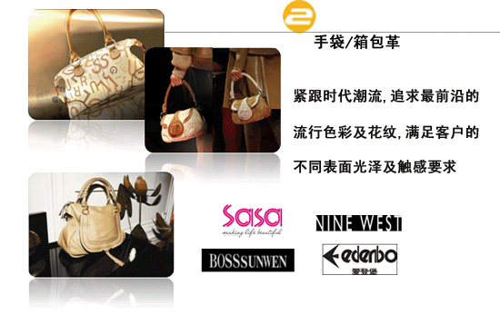 Handbag / case leather